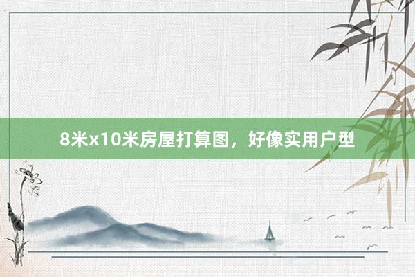 8米x10米房屋打算图，好像实用户型