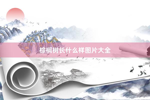 棕榈树长什么样图片大全