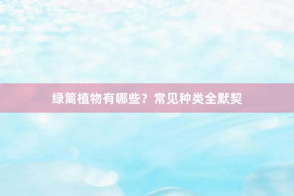 绿篱植物有哪些?常见种类全默契
