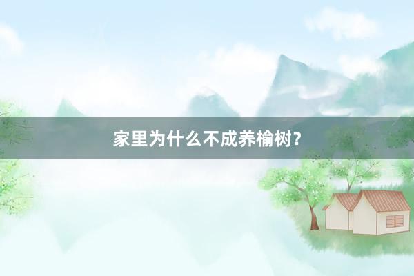 家里为什么不成养榆树？