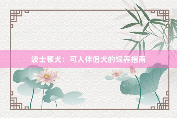 波士顿犬：可人伴侣犬的饲养指南