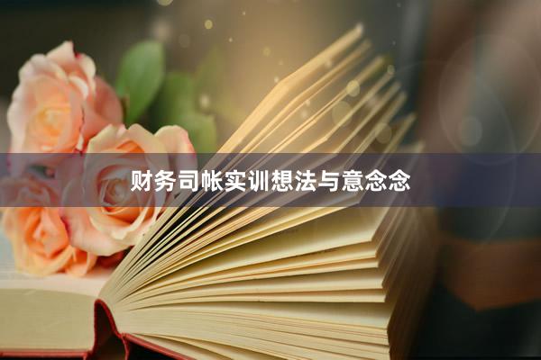 财务司帐实训想法与意念念
